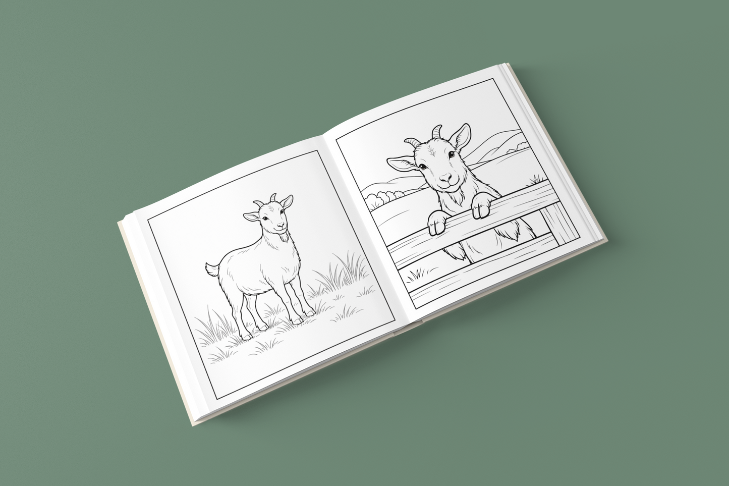 Among the Curious Goats