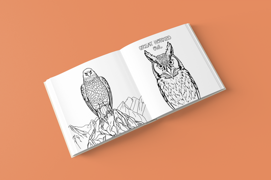 Canvas of Birds Coloring Book