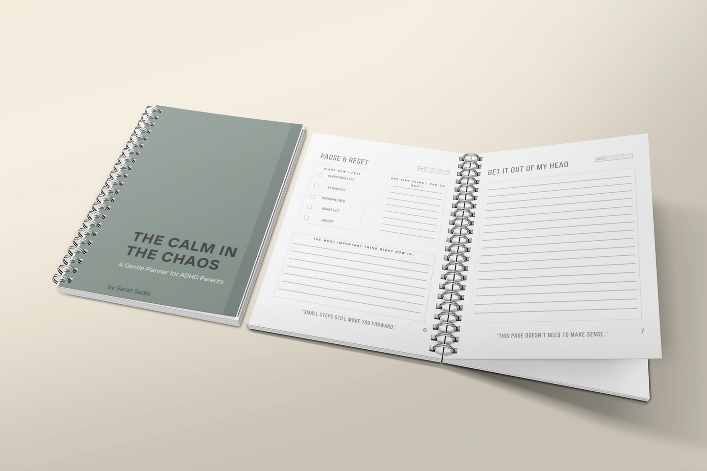 The Calm In the Chaos