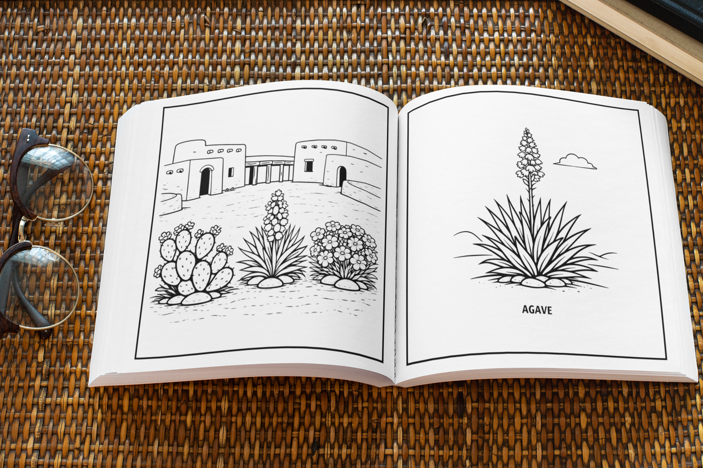 New Mexico Plants Coloring Book for All Ages