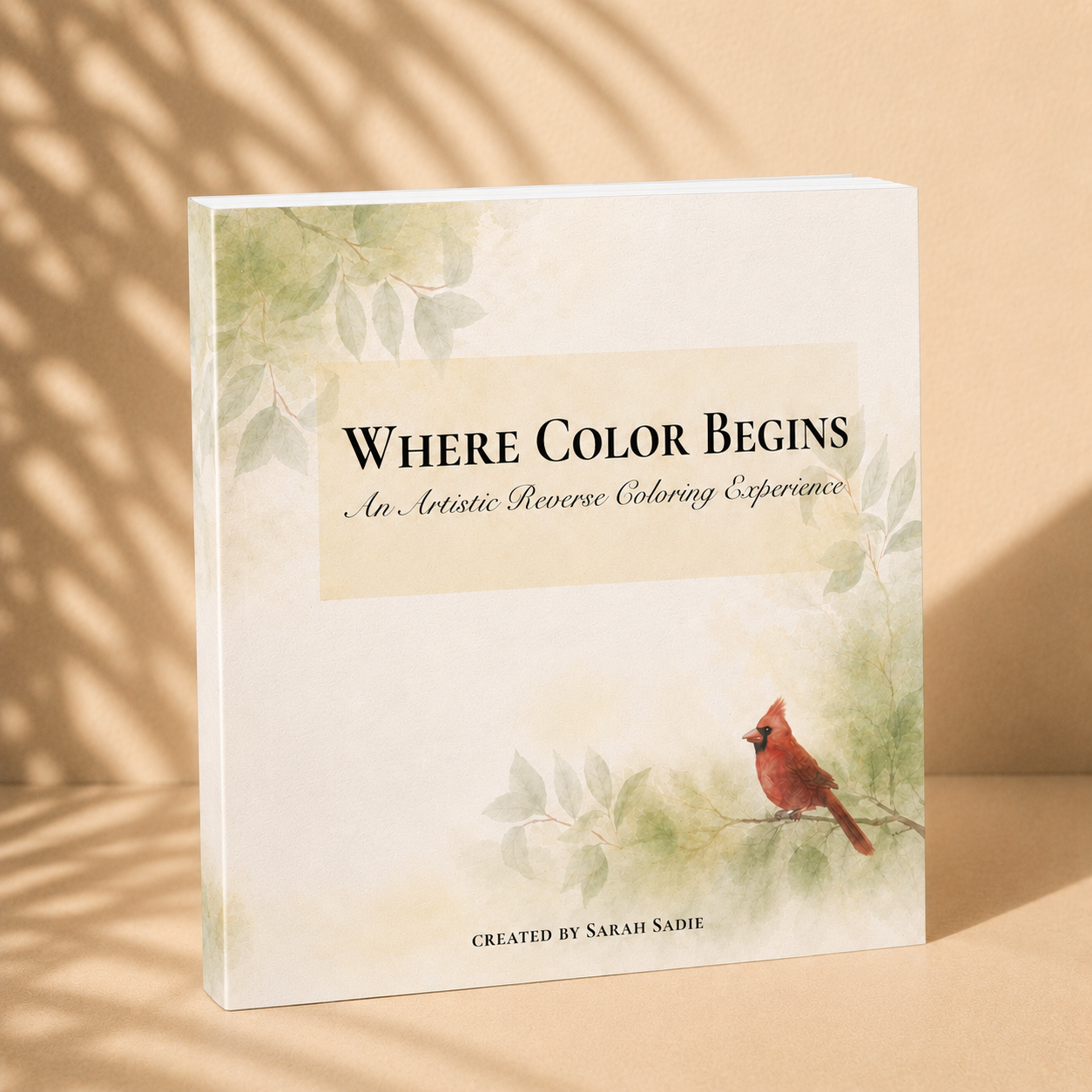 Where Color Begins Reverse Coloring Book