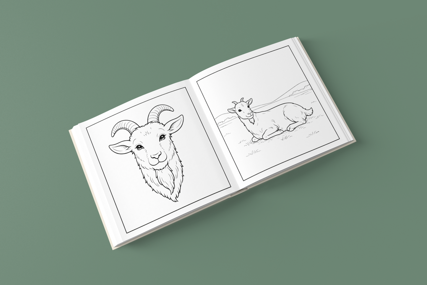 Among the Curious Goats