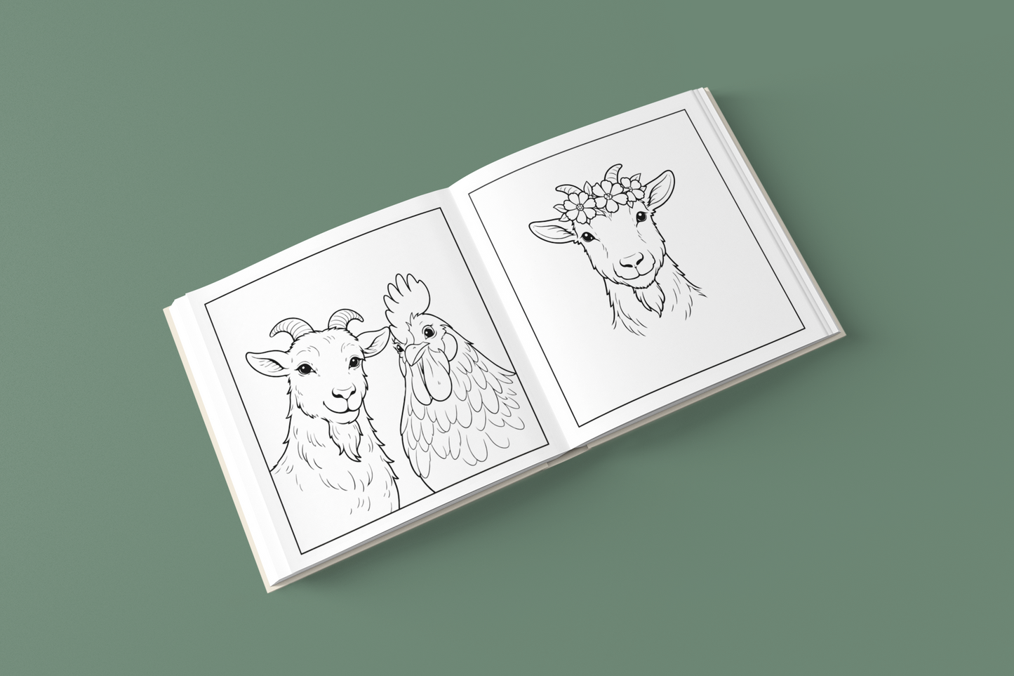 Among the Curious Goats