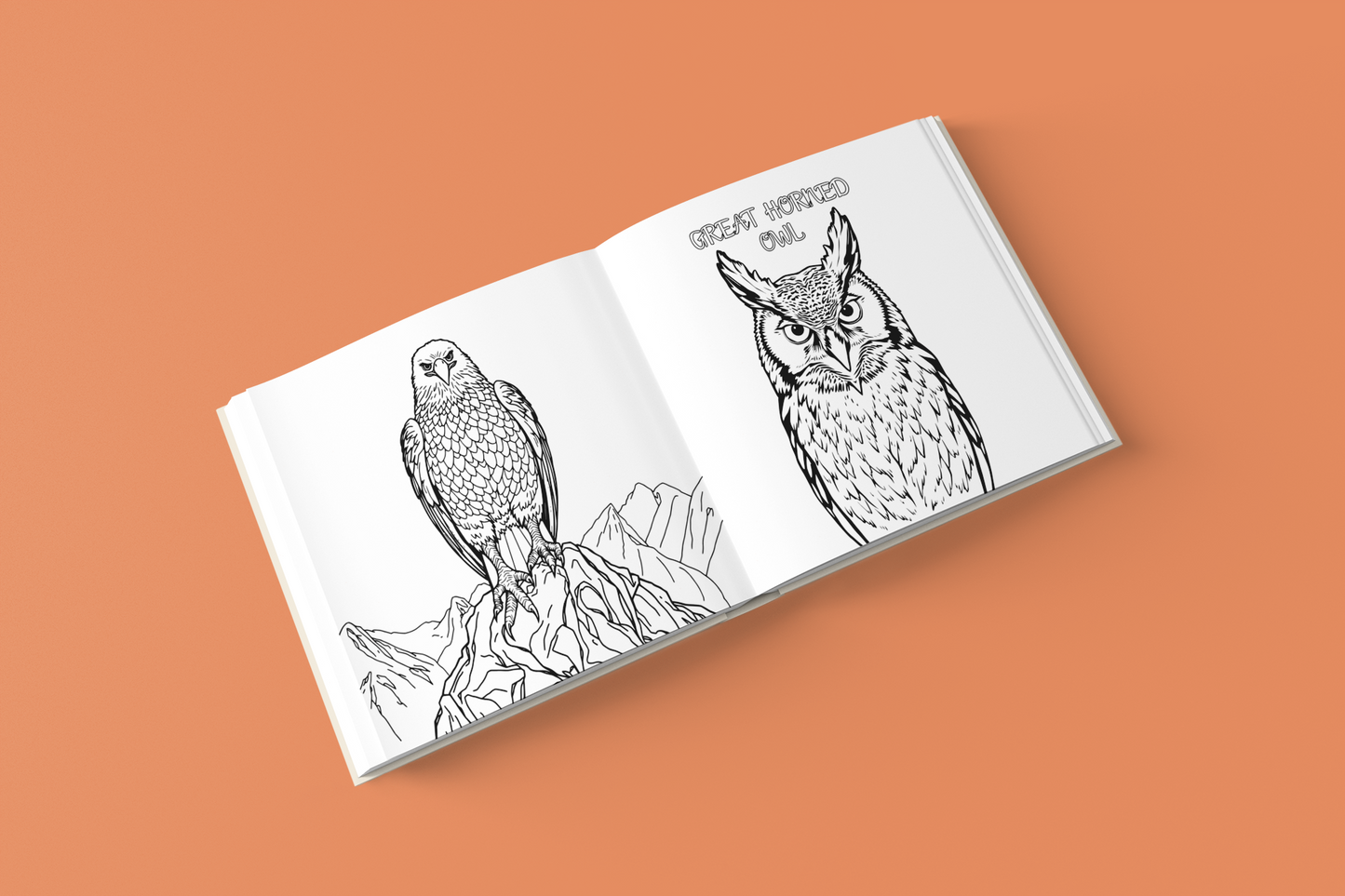 Canvas of Birds Coloring Book