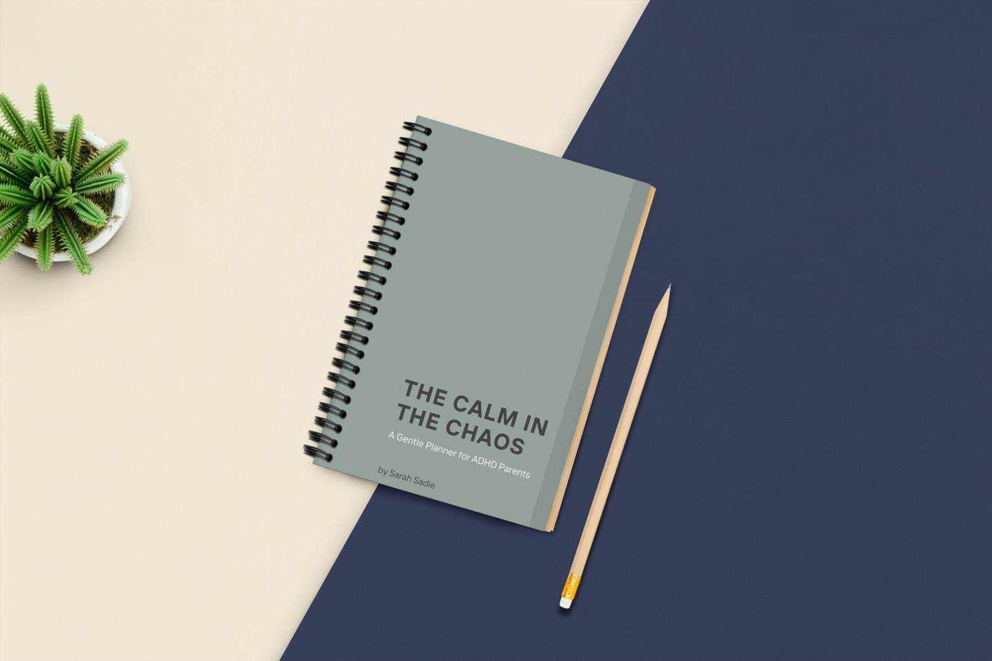 The Calm In the Chaos