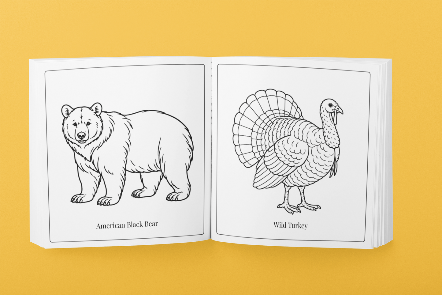 Nature of New Mexico