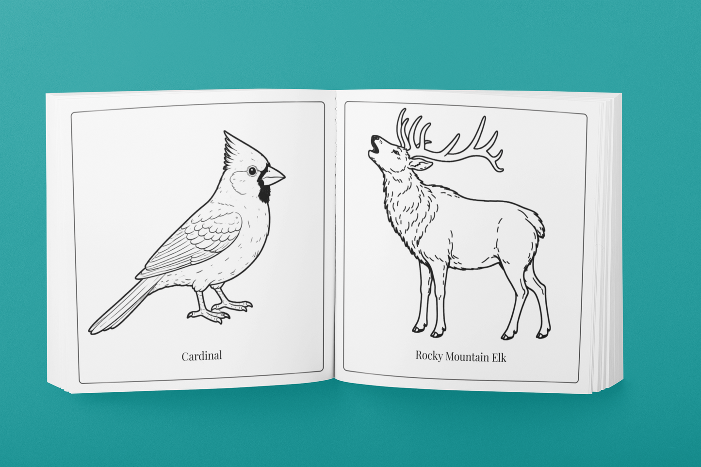 Nature of New Mexico