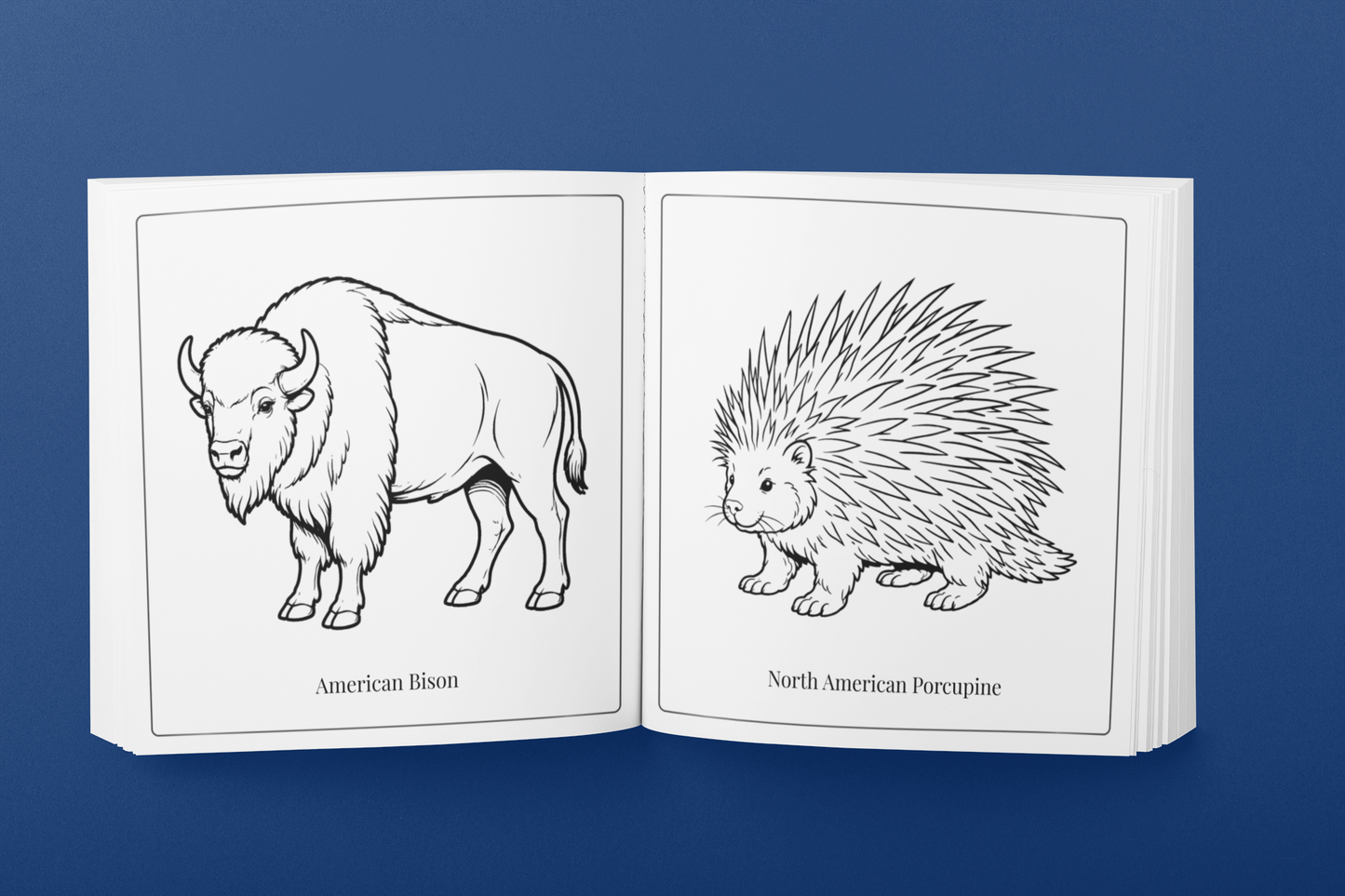 Nature of New Mexico