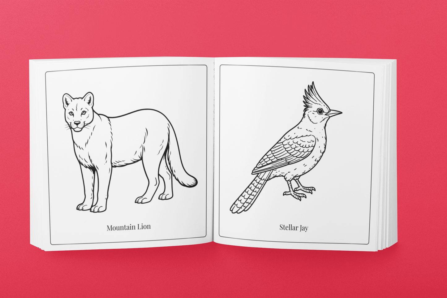 Nature of New Mexico