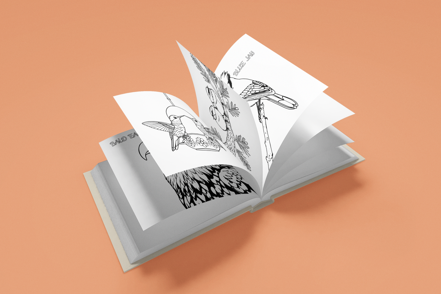 Canvas of Birds Coloring Book