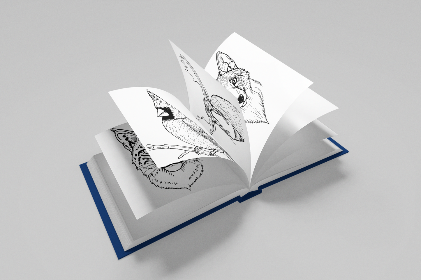 Wild Canvas: A North American Coloring Adventure