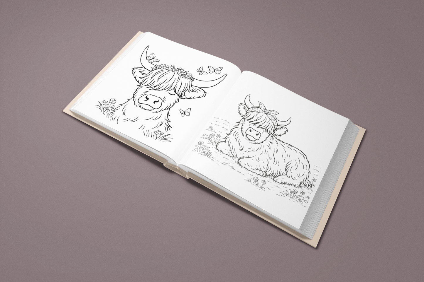 Among the Highland Cows