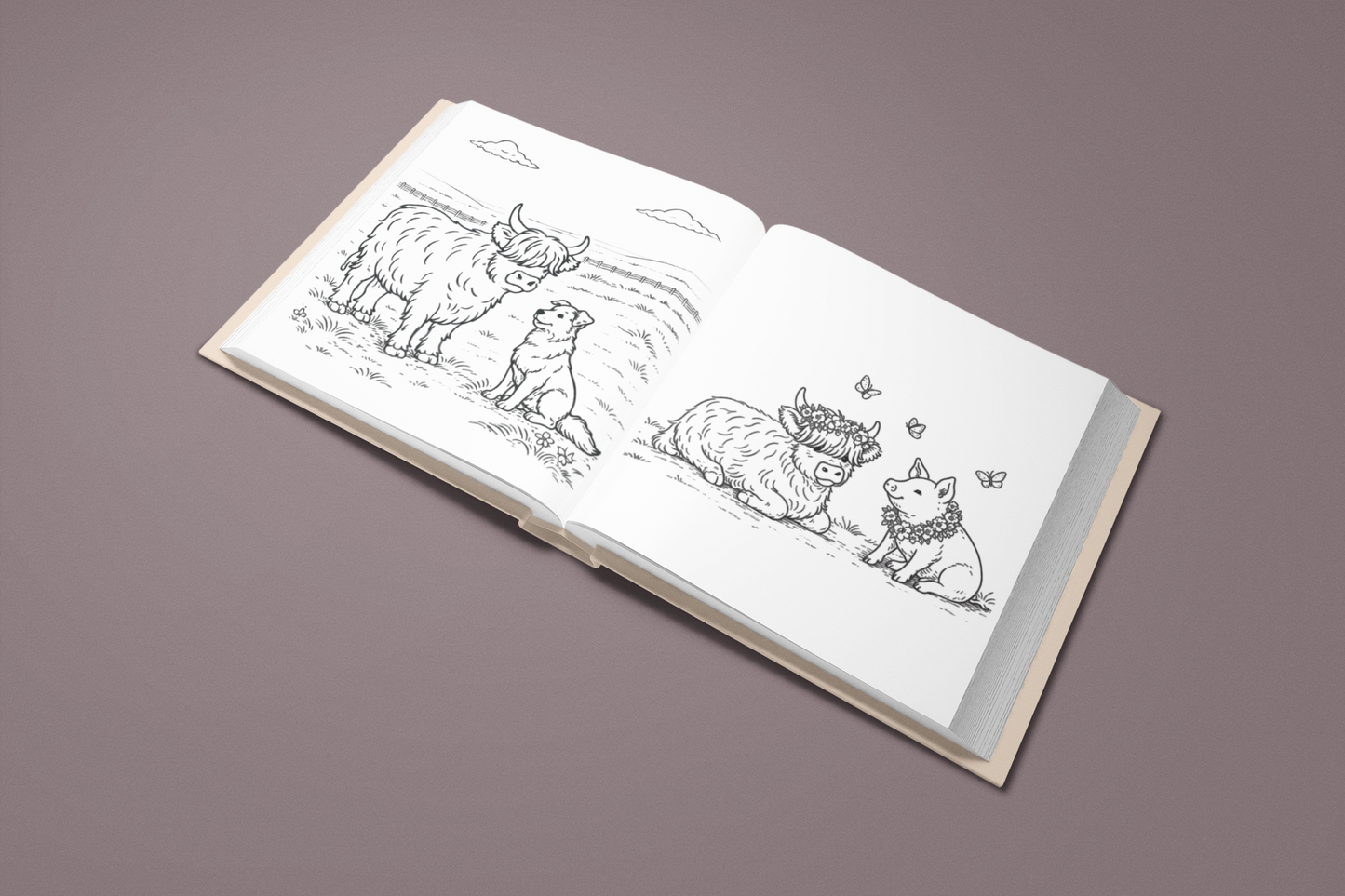 Among the Highland Cows