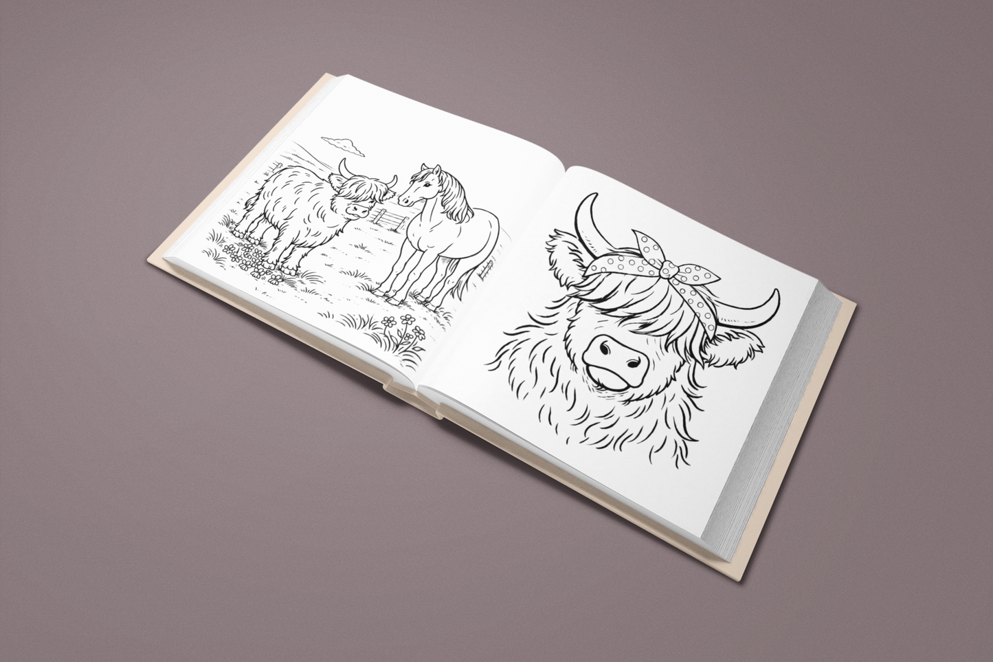 Among the Highland Cows