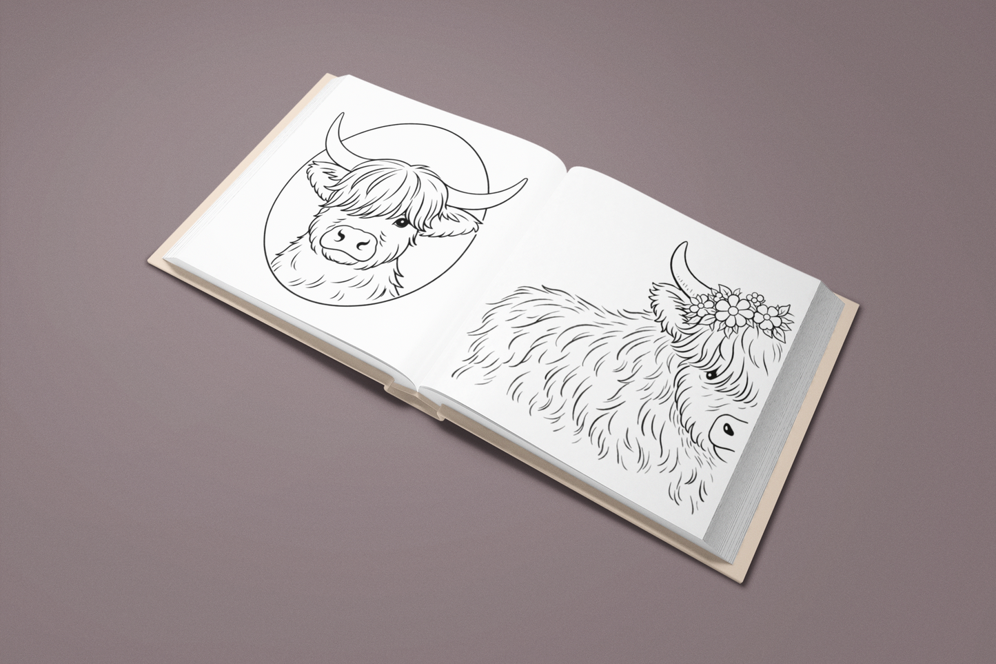 Among the Highland Cows